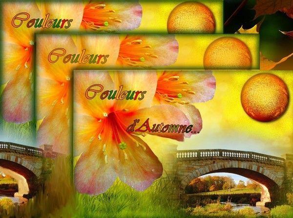 Couleurs d'automne.